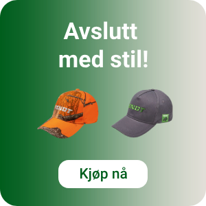 Fendt Caps